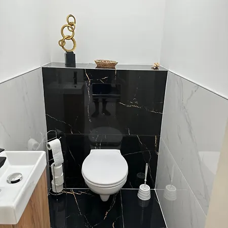坲拉斯酒店 3* 科马罗姆